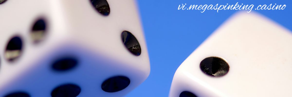 vi.megaspinking.casino